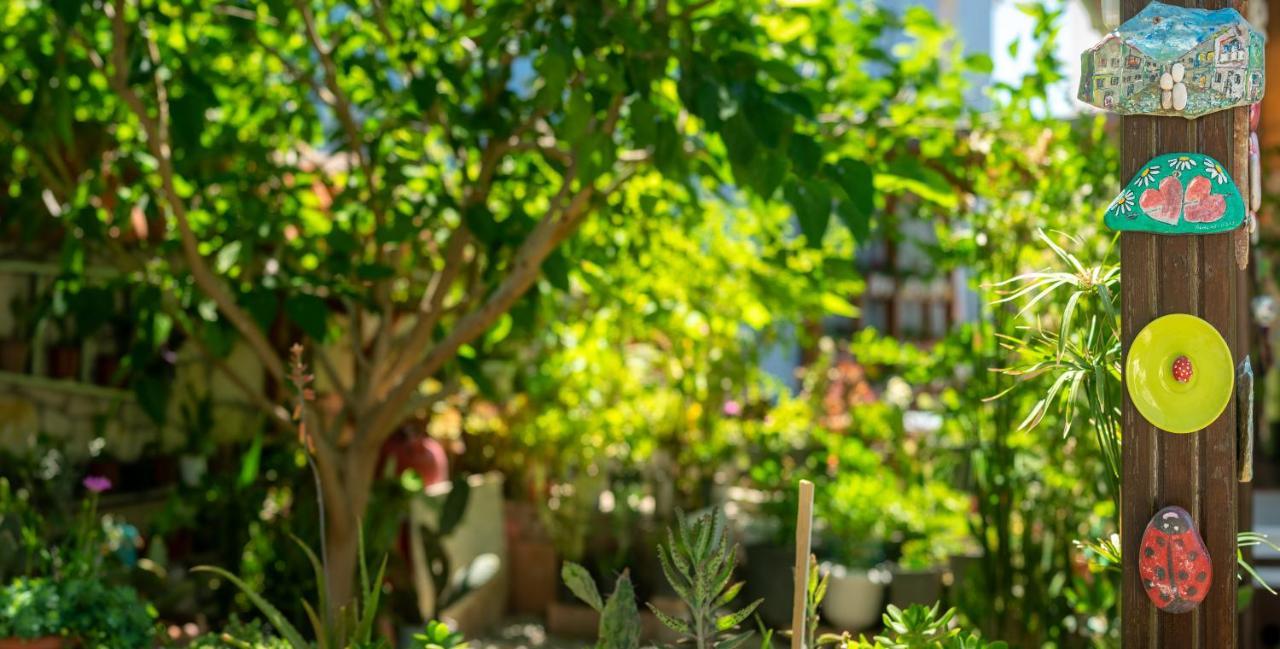 Flores Hotel アラカティ エクステリア 写真