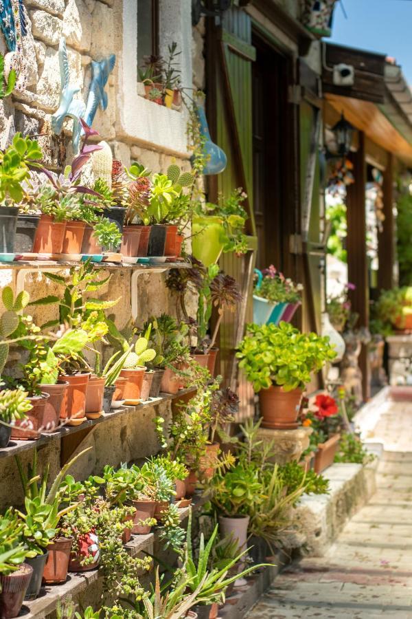 Flores Hotel アラカティ エクステリア 写真